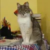 Отзыв от Вера Литвинова